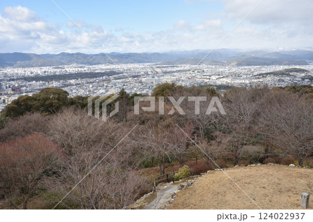 青蓮院飛地　青龍殿　将軍塚と京都市内(京都市山科区) 124022937