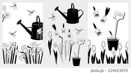 Gardening poster templates. Watering can, dragonflies, blooming daffodils and tulips, bulbs. Set Elements for background, brochure covers, marketing materials, postcards, black and white illustration 124023070