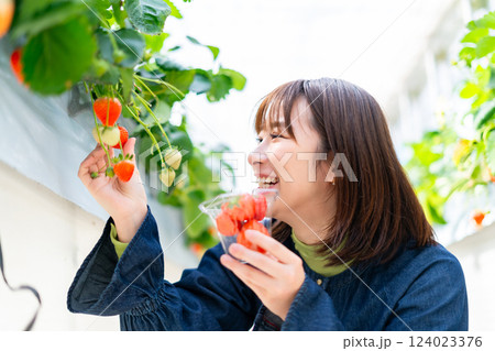 イチゴ狩りをする女性 いちご狩りをする女性 イチゴ狩りをする女性 いちご狩りをする女性 124023376
