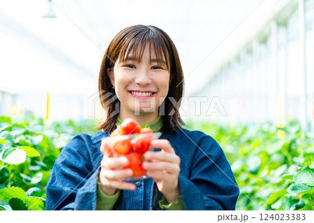 イチゴ狩りをする女性 いちご狩りをする女性 イチゴ狩りをする女性 いちご狩りをする女性 124023383