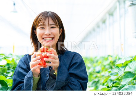 イチゴ狩りをする女性 いちご狩りをする女性 イチゴ狩りをする女性 いちご狩りをする女性 124023384