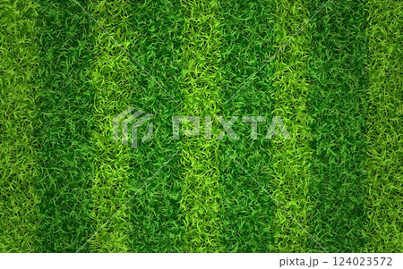 Grass texture. Green sport field concept. Striped lawn for soccer or football. Fresh eco background. Grass carpet with stripes top view. Vector illustration 124023572