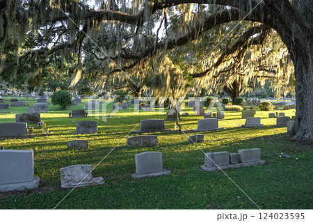 Old cemetery with grave stones under oak trees on green grass lawn in Orlando, Florida. Concept of death Old cemetery with grave stones under oak trees on green grass lawn in Orlando, Florida. Concept of death 124023595