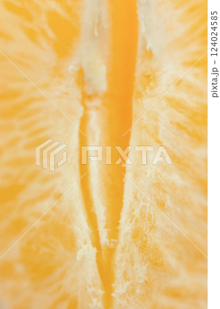 Detailed close-up photo of juicy orange slices. Citrus fruit macro photo Detailed close-up photo of juicy orange slices. Citrus fruit macro photo 124024585