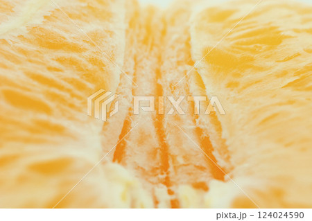 Detailed close-up photo of juicy orange slices. Citrus fruit macro photo 124024590