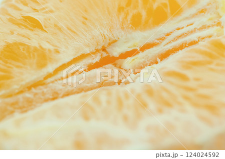 Detailed close-up photo of juicy orange slices. Citrus fruit macro photo Detailed close-up photo of juicy orange slices. Citrus fruit macro photo 124024592
