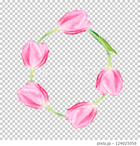 Tulip watercolor wreath isolated on white. Hand painted delicate pink flower, eco design. High quality clip art perfect for mother's day, women's day cards, posters, banners, decor and design. Frame 124025058