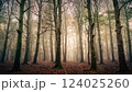 magical spooky dark forest scene featuring tall trees, a serene stream, and glowing orbs evoking mystique and tranquility, perfect for fantasy or nature themed projects 124025260