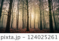 magical spooky dark forest scene featuring tall trees, a serene stream, and glowing orbs evoking mystique and tranquility, perfect for fantasy or nature themed projects 124025261