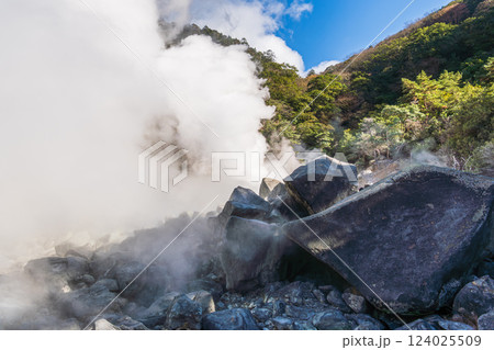 鹿児島県栗野岳の八幡大地獄 噴気が立ち昇る観光名所の風景写真 鹿児島県栗野岳の八幡大地獄 噴気が立ち昇る観光名所の風景写真 124025509
