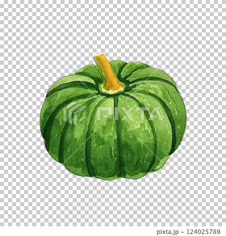 かぼちゃ 124025789