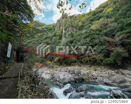 長門峡と阿武川 長門峡と阿武川 124025869