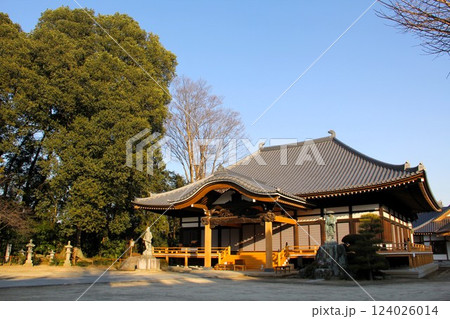 2012年1月の下野龍興寺 124026014