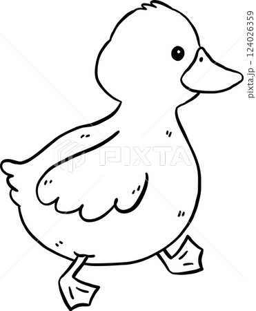 Cute Cartoon Duck Outline  Black and White Walking Hand Drawn Doodle 124026359