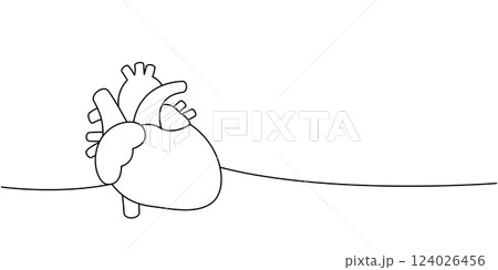 Heart one line continuous drawing. Human internal organ continuous one line illustration. 124026456