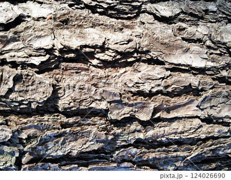 texture of the stone 124026690
