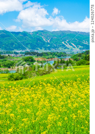 飯山市・菜の花公園 124026778