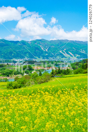 飯山市・菜の花公園 124026779