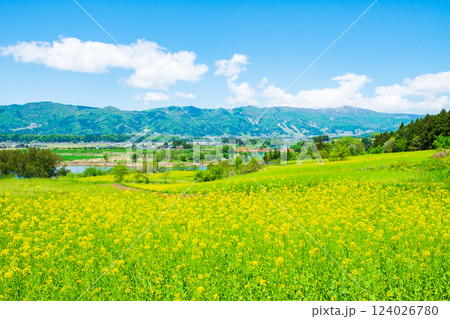 飯山市・菜の花公園 124026780