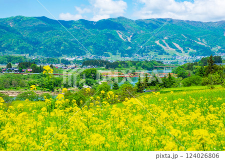 飯山市・菜の花公園 飯山市・菜の花公園 124026806