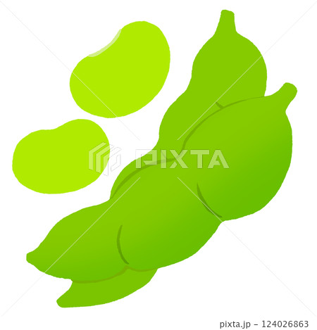 枝豆 124026863