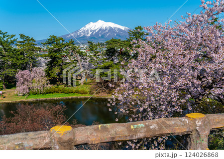 桜咲く弘前公園から望む春の岩木山 桜咲く弘前公園から望む春の岩木山 124026868