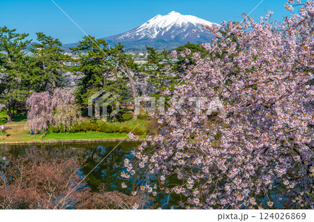 桜咲く弘前公園から望む春の岩木山 桜咲く弘前公園から望む春の岩木山 124026869