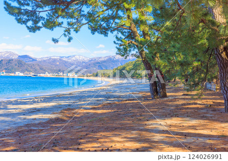 3月の気比の松原【福井県】 124026991