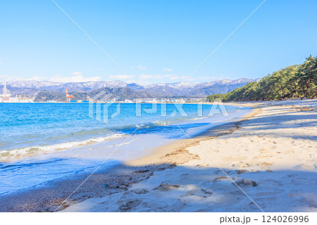 3月の気比の松原【福井県】 124026996