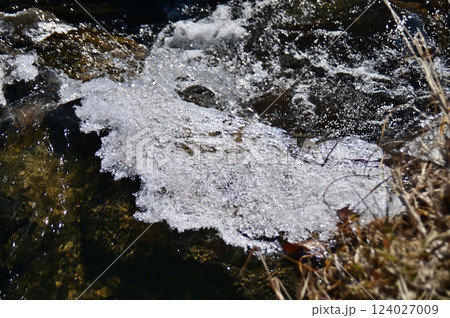荏沢川の流れに出来た氷の塊 荏沢川の流れに出来た氷の塊 124027009