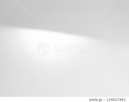 shadow Background Wall Light White Abstract Overlay Plant Backdorp Sunlight Mockup Minimal Gray Summer Black Photography Floor blur Cement Grey Minimal Product Beauty Cosmetic Presentation Template. 124027461