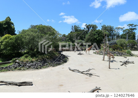 ニュージーランドのオークランド動物園 124027646