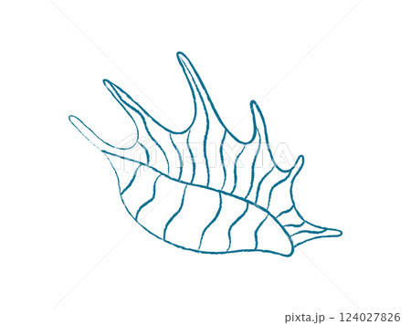 Chalk style seashell. Doodle representation of a marine creature. Aquatic life, ocean theme, flat texture, potential for summer designs. Chalk style seashell. Doodle representation of a marine creature. Aquatic life, ocean theme, flat texture, potential for summer designs. 124027826