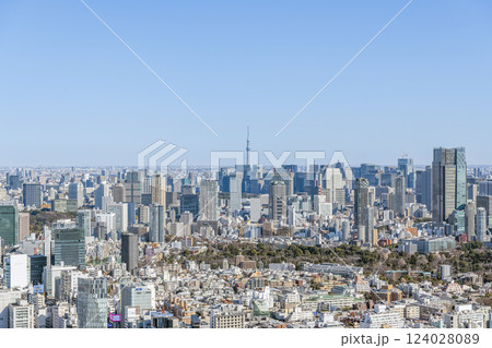 超高層ビルが立ち並ぶ東京の街並み（渋谷周辺から丸の内方面） 124028089
