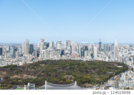 超高層ビルが立ち並ぶ東京（新宿）の街並み（渋谷周辺から新宿方面） 124028096
