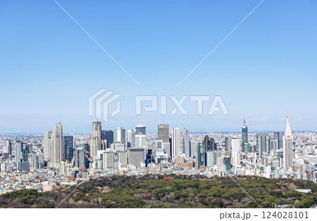 超高層ビルが立ち並ぶ東京（新宿）の街並み（渋谷周辺から新宿方面） 124028101