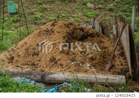 involved with horses 124028425