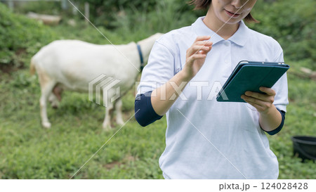involved with goat involved with goat 124028428