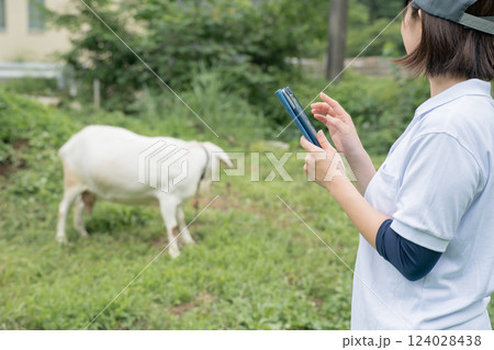 involved with goat 124028438