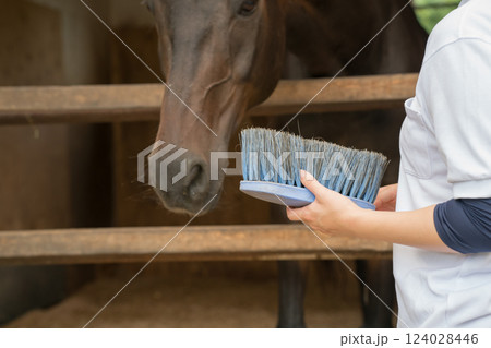 involved with horses involved with horses 124028446