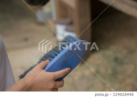 involved with horses involved with horses 124028448