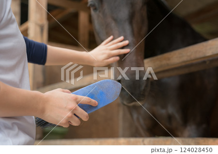 involved with horses involved with horses 124028450