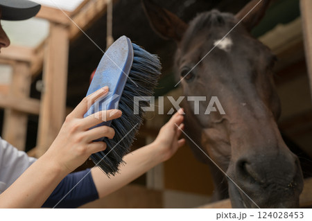 involved with horses 124028453
