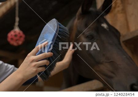 involved with horses 124028454