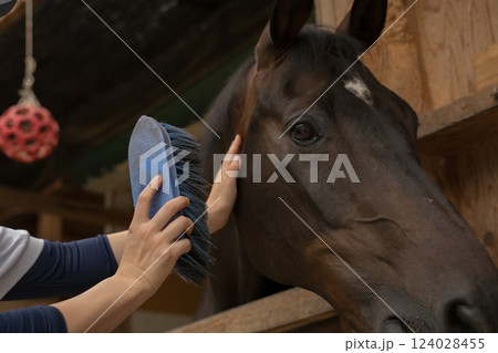 involved with horses involved with horses 124028455
