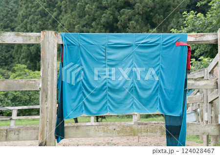 involved with horses involved with horses 124028467