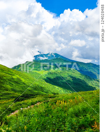 夏の火打山・妙高山登山（天狗の庭～火打山山頂：天狗の庭・妙高山方面の眺め） 124028488