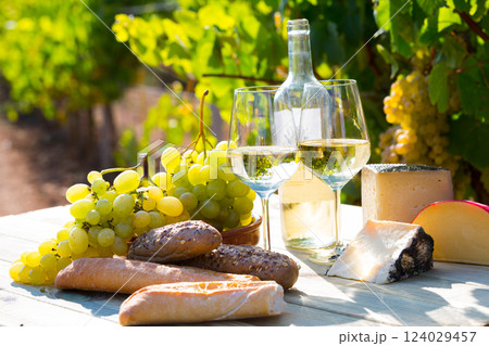 White wine with cheese, bread and grapes in vineyard 124029457