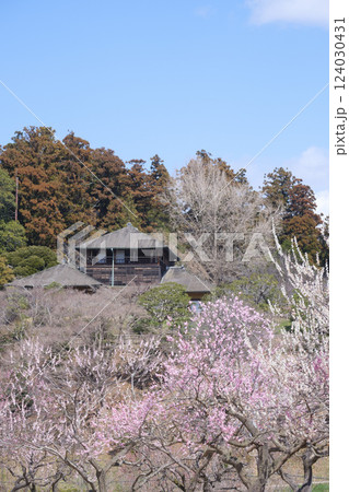 観梅の偕楽園と梅林と好文亭　 124030431