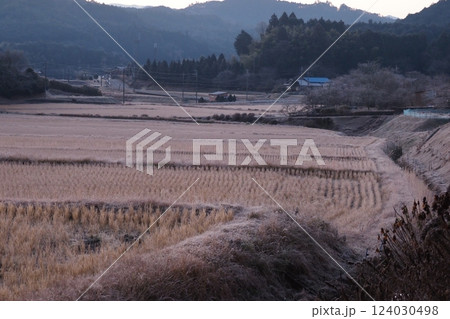 一月の寒い朝の田園風景 124030498